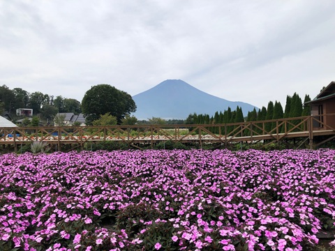 2025/09/18の写真