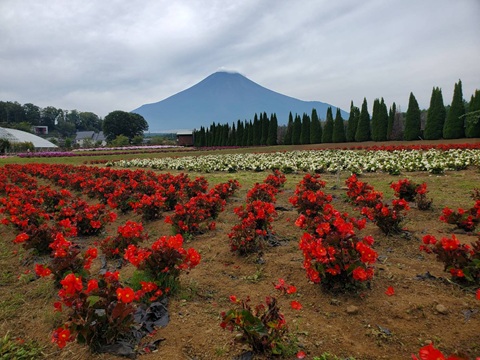 2025/09/18の写真