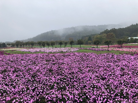 2025/10/16の写真