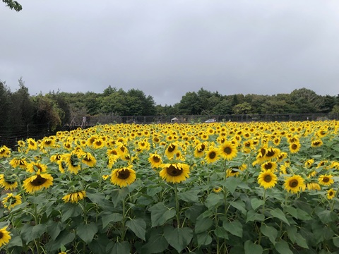 2025/10/16の写真