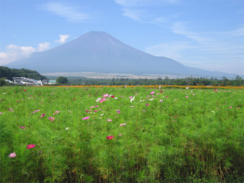 2005/09/14の写真