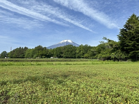 2026/05/26の写真