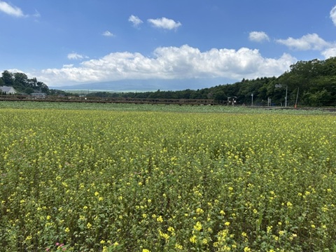 2026/07/09の写真