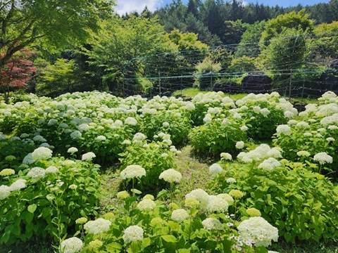 2026/07/09の写真