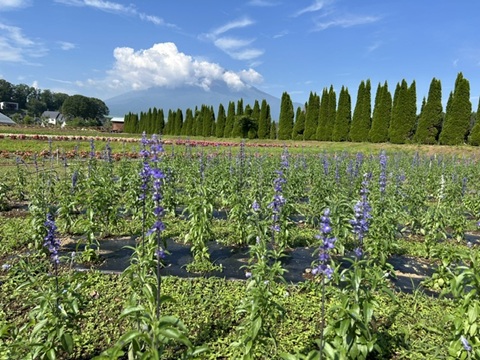 2026/07/16の写真