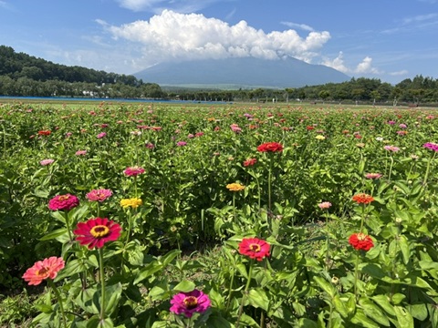 2026/07/16の写真