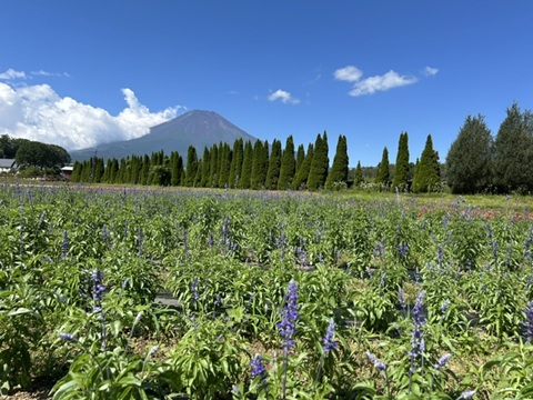 2026/07/27の写真