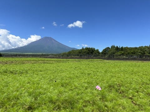 2026/07/27の写真