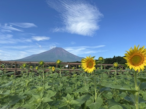 2026/07/30の写真