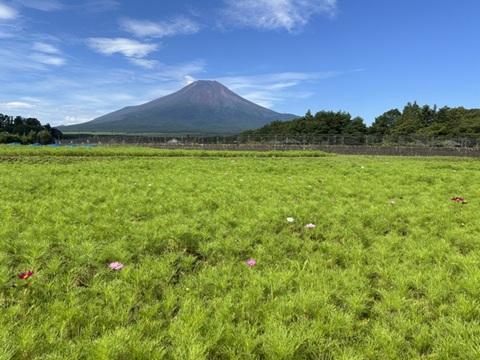2026/07/30の写真