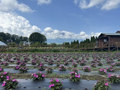 2026/08/02の写真