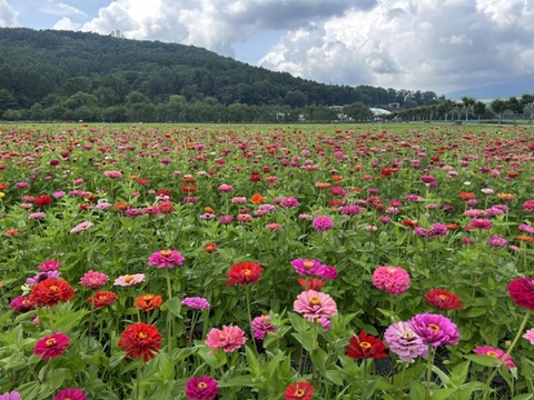 2026/08/02の写真