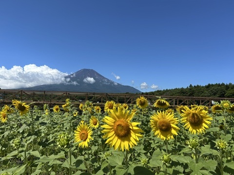 2026/08/10の写真