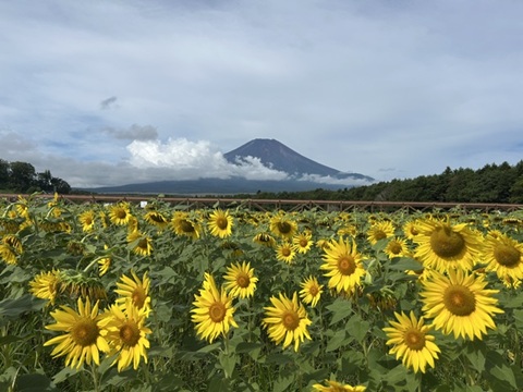 2026/08/22の写真