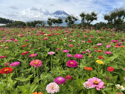 2026/08/22の写真