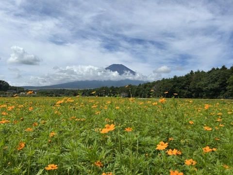 2026/08/22の写真