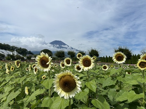 2026/08/22の写真