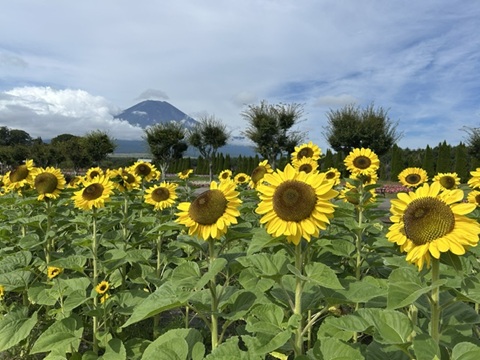 2026/08/22の写真