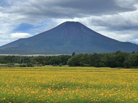 2026/08/28の写真