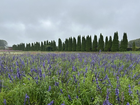 2026/09/10の写真