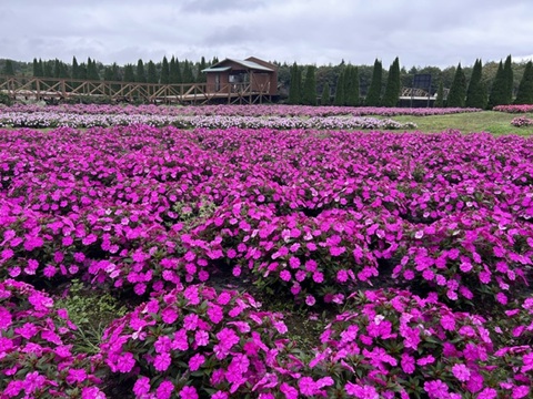 2026/09/27の写真