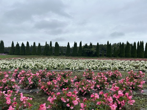 2026/09/27の写真