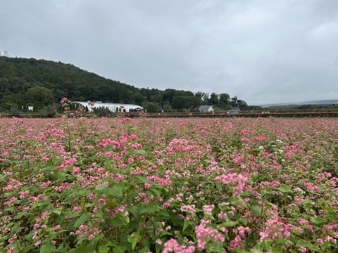 2026/09/27の写真