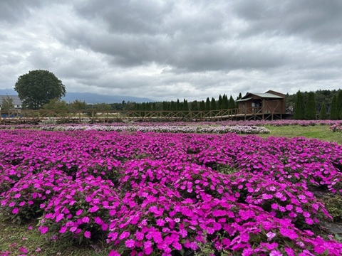 2026/10/04の写真