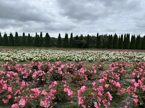 2026/10/04の写真
