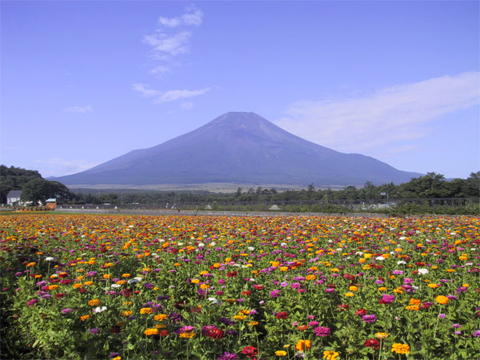 2005/08/15の写真