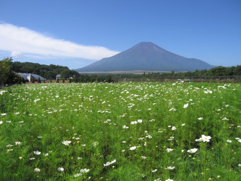 2009/09/07の写真