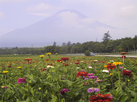 2005/07/16の写真