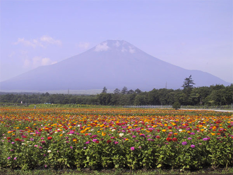 2005/07/29の写真