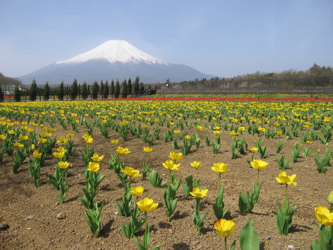 2010/05/06の写真