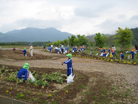 2010/05/26の写真