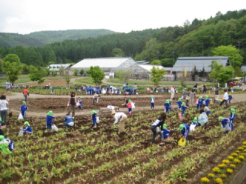 2010/05/26の写真