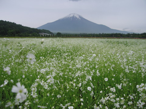 2010/06/26の写真