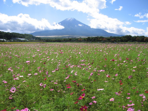 2010/09/25の写真