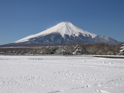 2011/02/13の写真