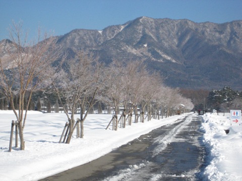 2011/02/16の写真