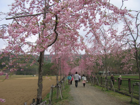 2011/05/05の写真