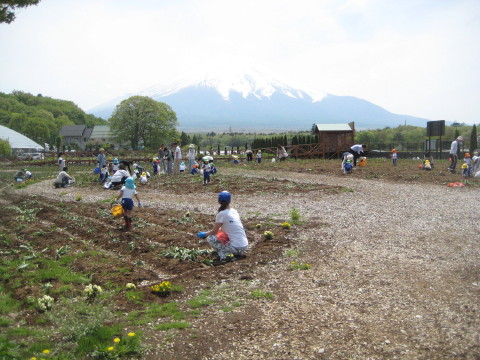 2011/05/25の写真