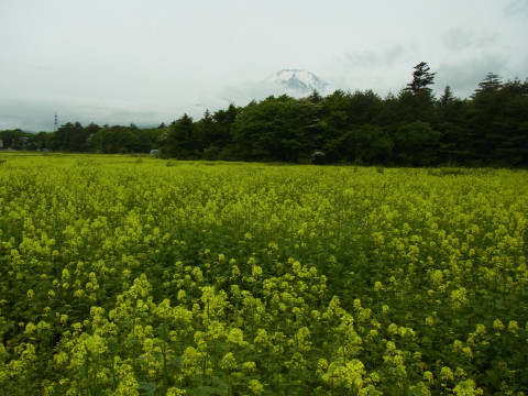 2011/06/16の写真