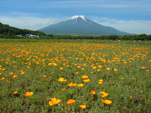 2011/06/22の写真