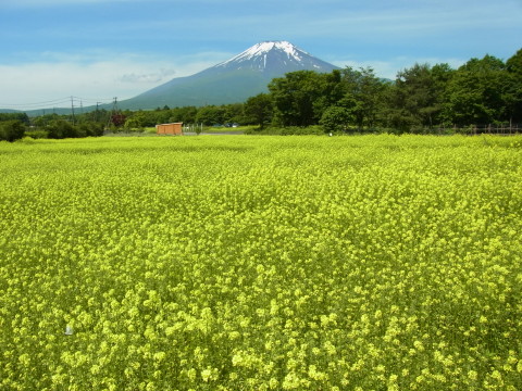 2011/06/22の写真