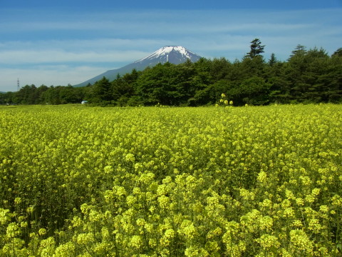 2011/06/22の写真