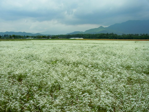 2011/06/30の写真