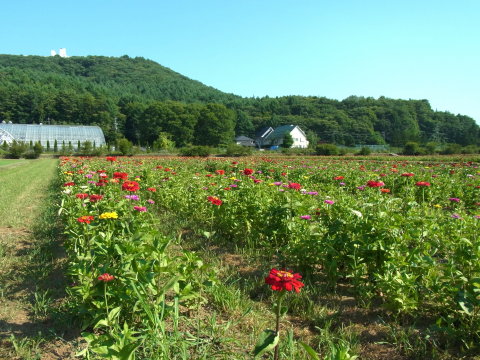 2011/07/15の写真