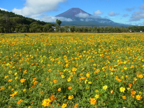 2011/09/18の写真