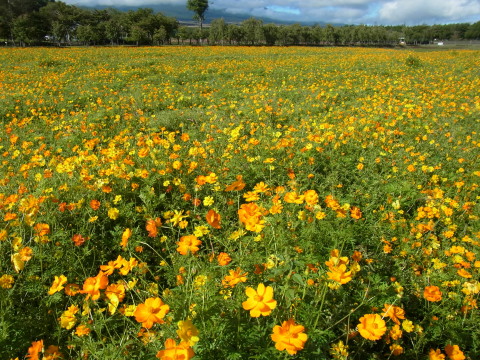 2011/09/18の写真